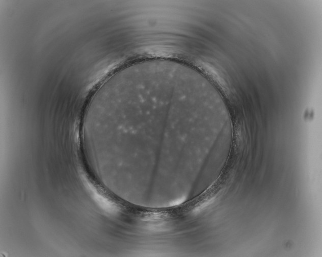 X0000091550398200709141520