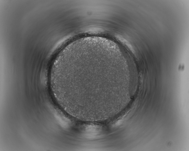 X0000091550400200709141520