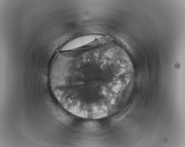 X0000091550402200709141520