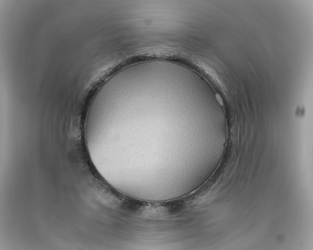 X0000091550403200709141520