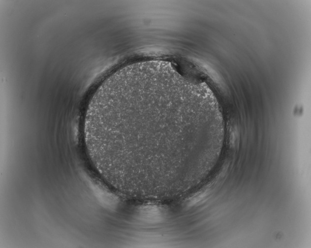 X0000091550404200709141520