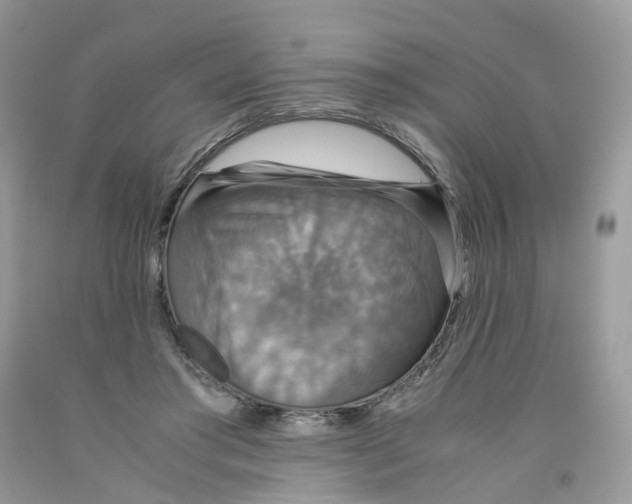 X0000091550405200709141520