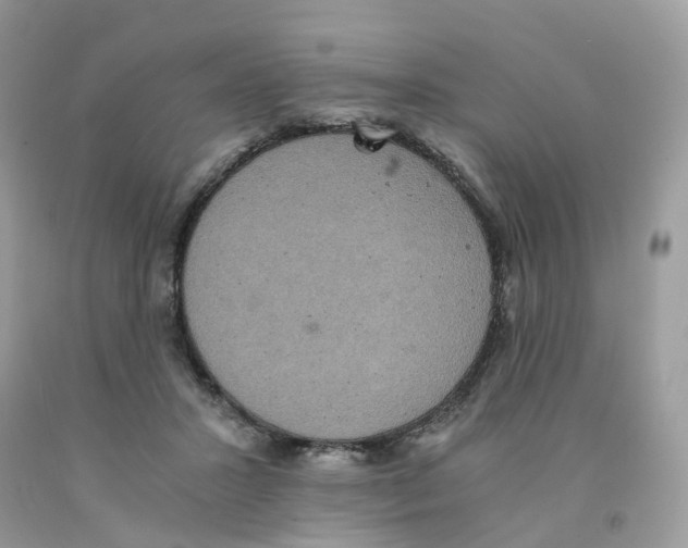 X0000091550407200709141520