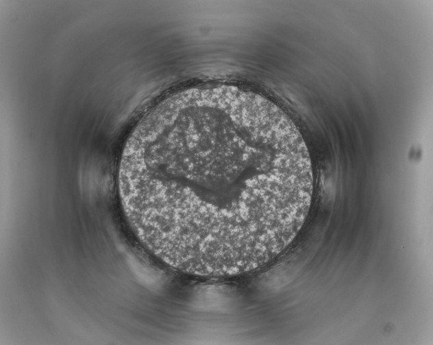 X0000091550408200709141520