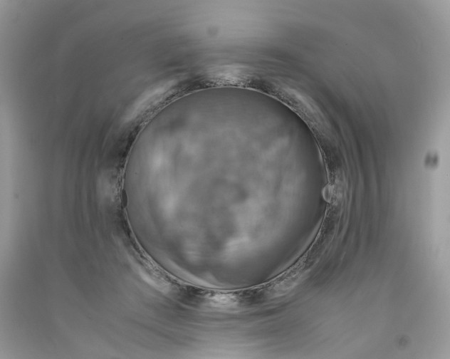 X0000091550409200709141520