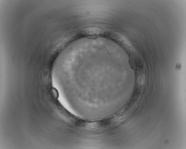 X0000091550411200709141519