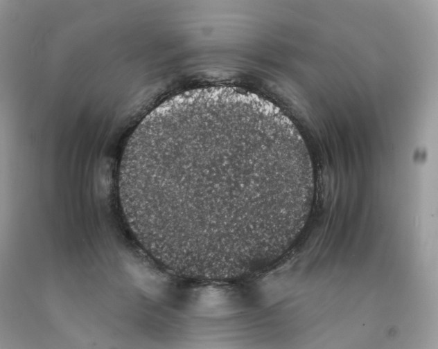 X0000091550412200709141519