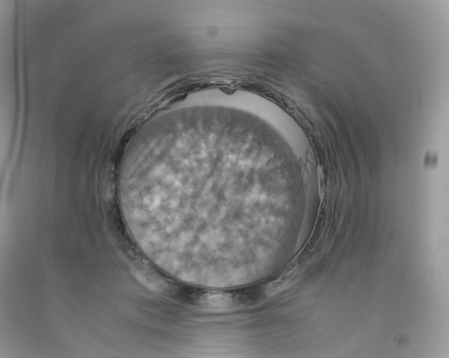 X0000091550413200709141519