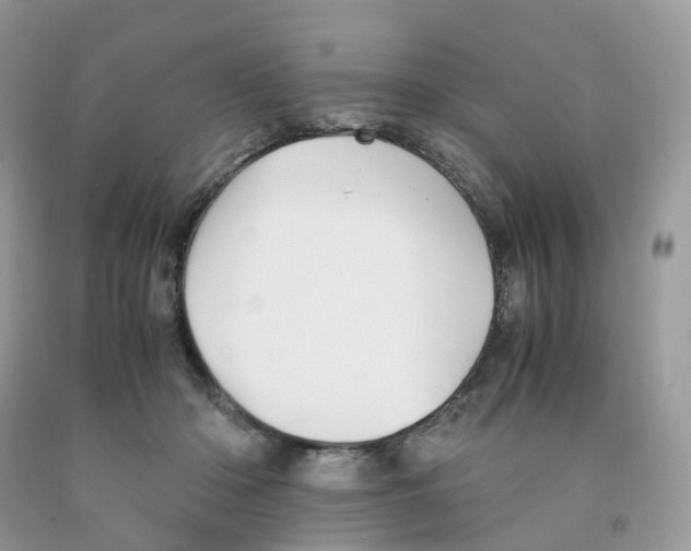 X0000091550414200709141519