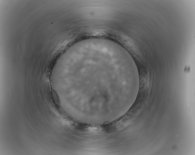 X0000091550415200709141519