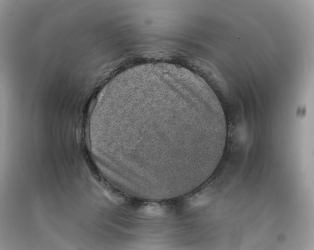 X0000091550416200709141519