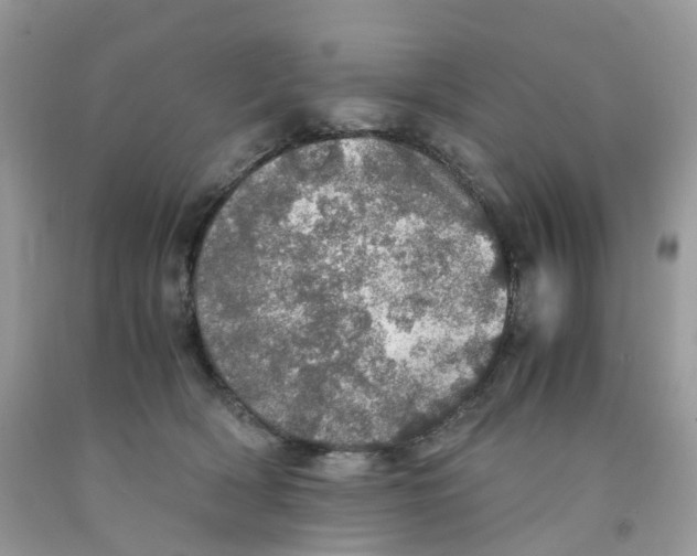 X0000091550418200709141519