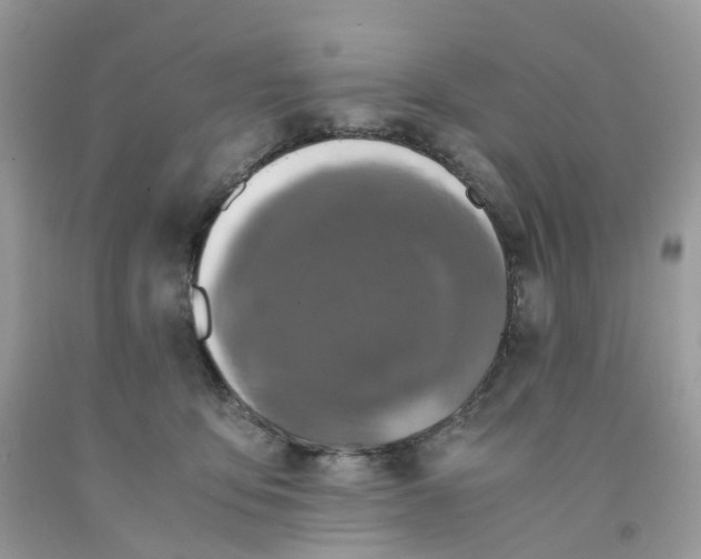 X0000091550419200709141519