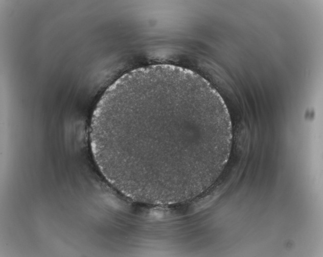 X0000091550420200709141519