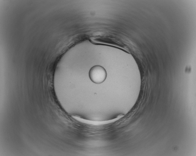 X0000091550421200709141519