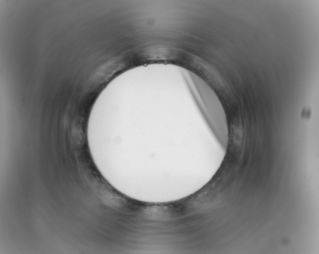 X0000091550422200709141519