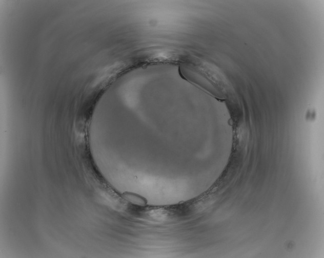 X0000091550423200709141519