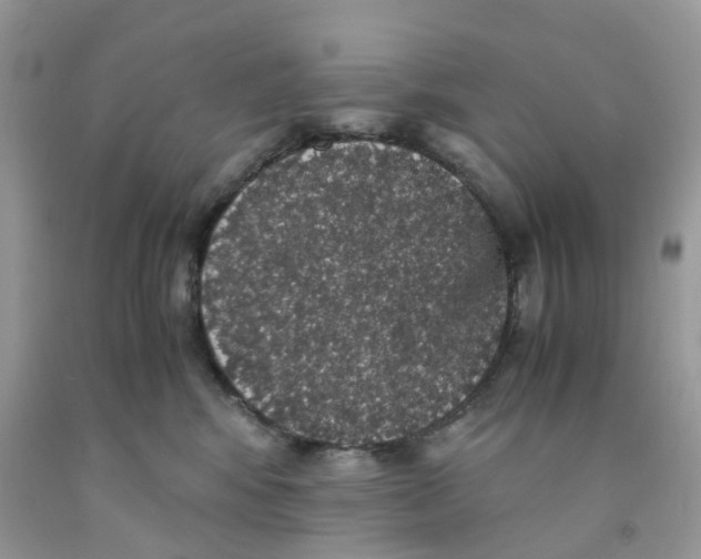 X0000091550424200709141519