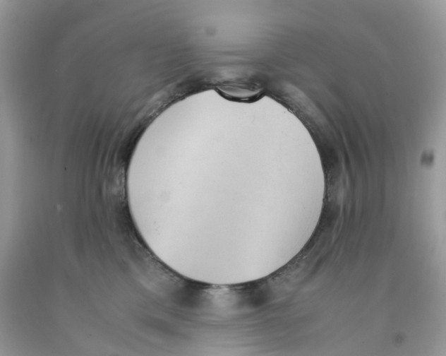 X0000091550425200709141519