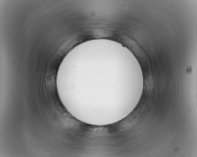 X0000091550426200709141519