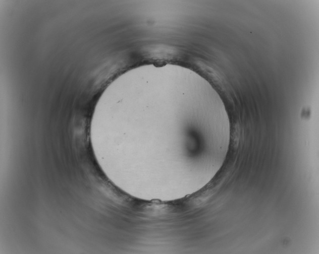 X0000091550428200709141519