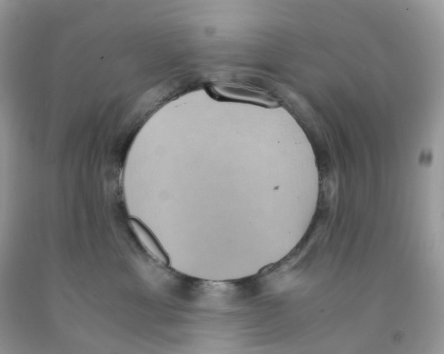 X0000091550429200709141519