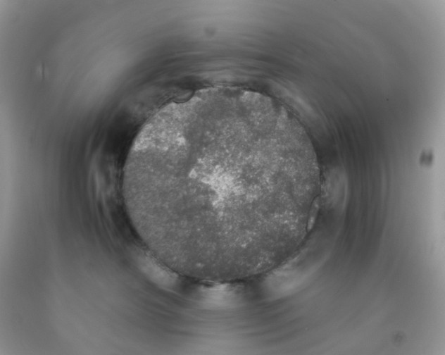 X0000091550430200709141519