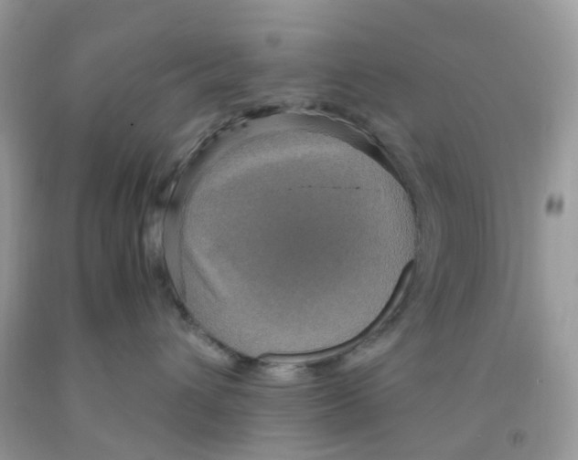 X0000091550432200709141519