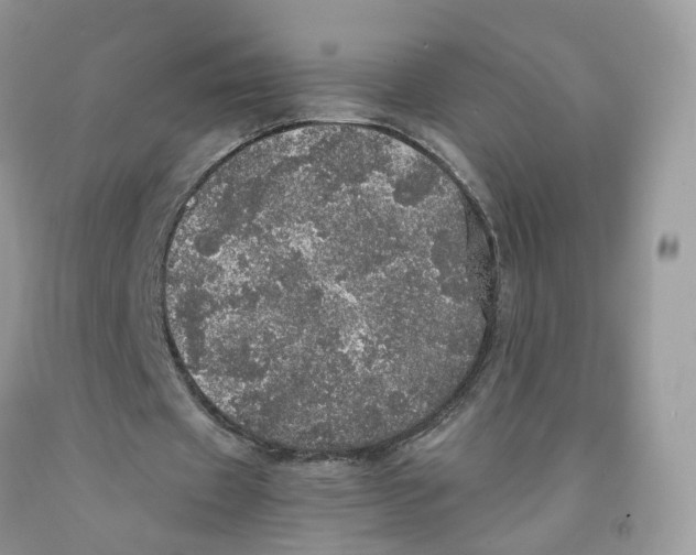 X0000091550433200709141519