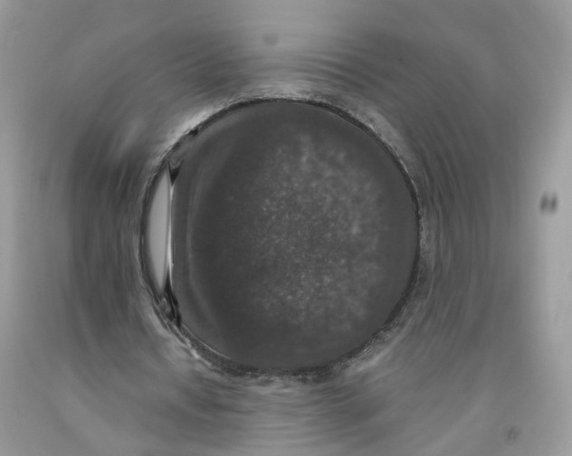 X0000091550434200709141519