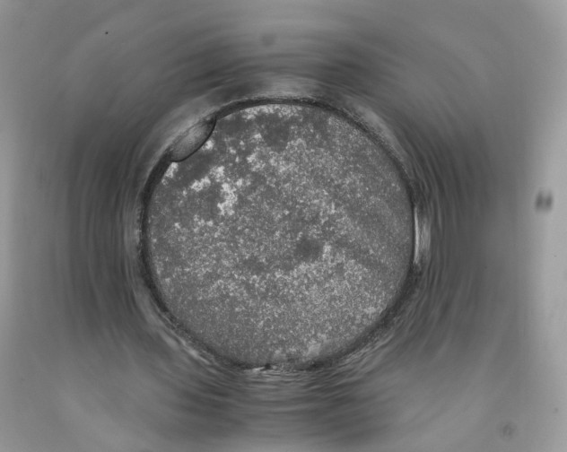 X0000091550435200709141519