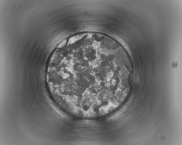 X0000091550437200709141519