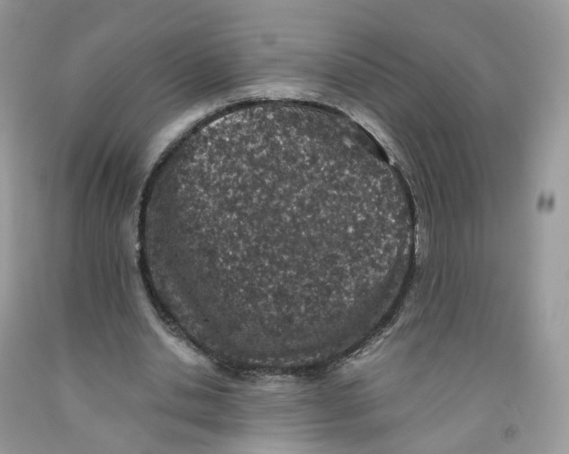 X0000091550438200709141519