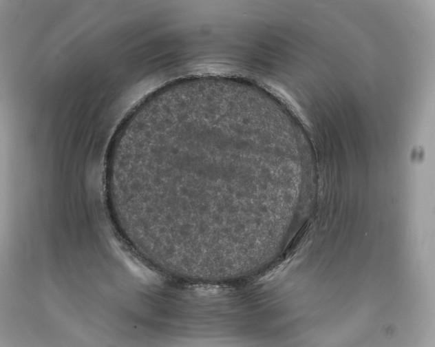 X0000091550439200709141519