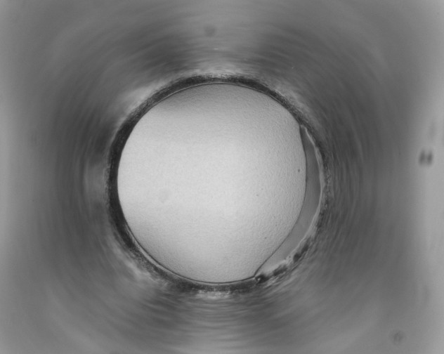 X0000091550440200709141519