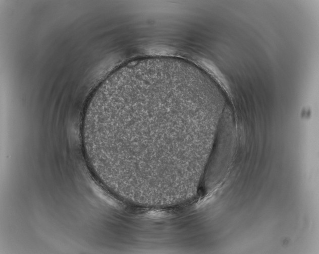 X0000091550441200709141519