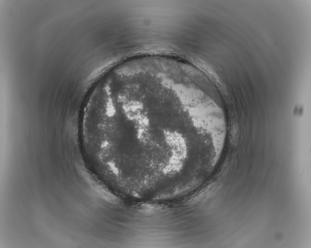 X0000091550442200709141519