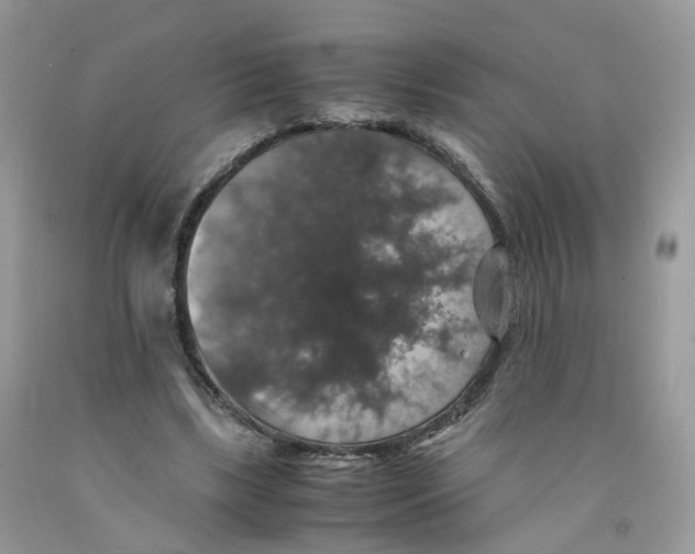 X0000091550443200709141519