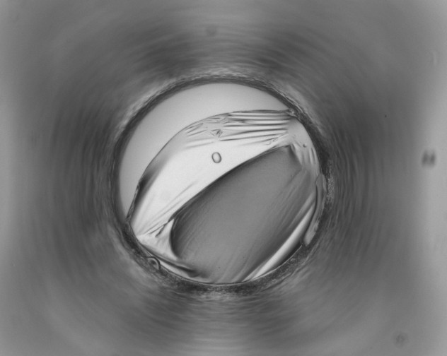 X0000091550444200709141519