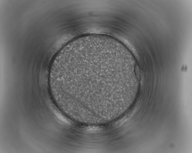 X0000091550445200709141519