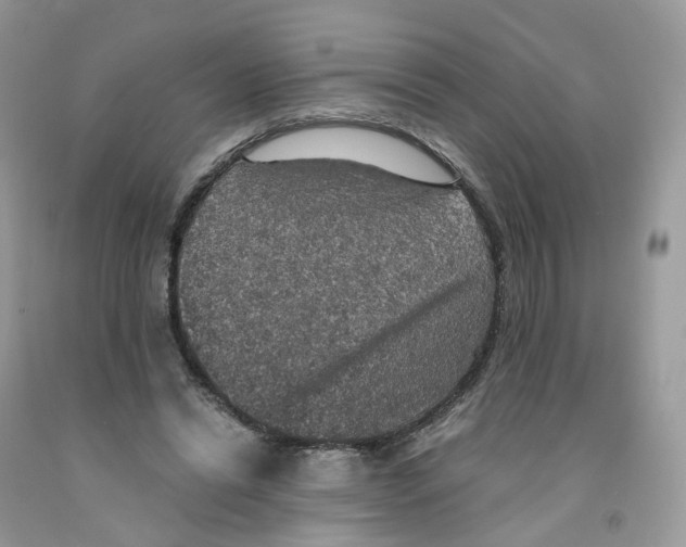 X0000091550446200709141519