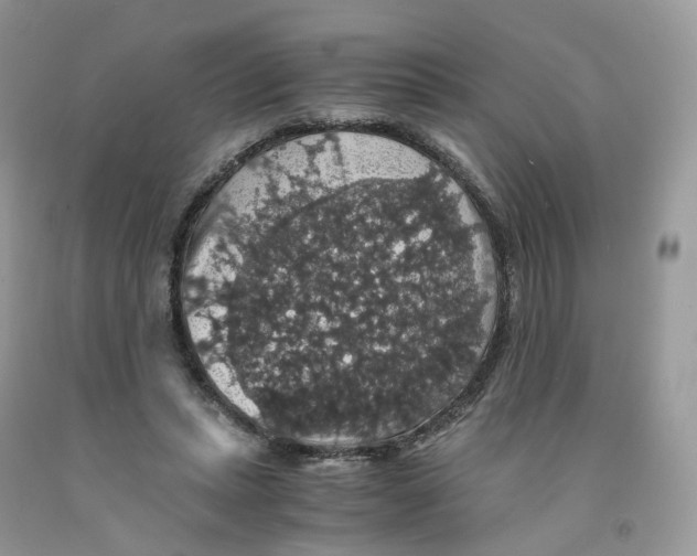 X0000091550447200709141519