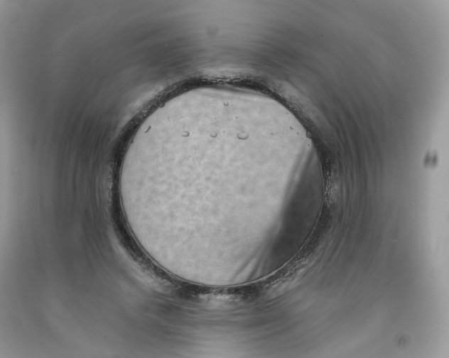 X0000091550448200709141519