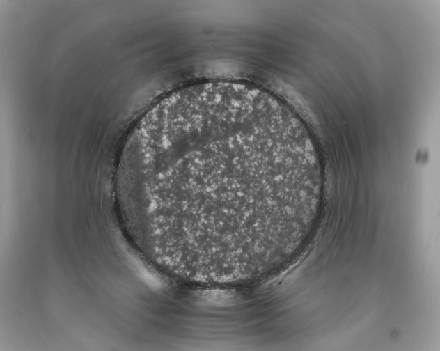 X0000091550449200709141519