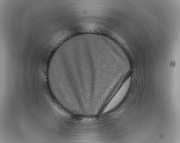 X0000091550450200709141519