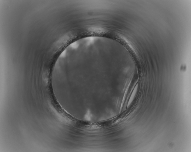 X0000091550451200709141519