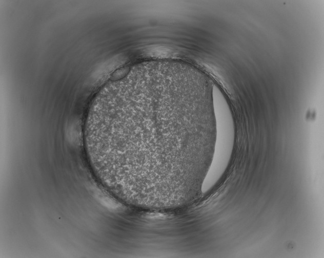 X0000091550453200709141519