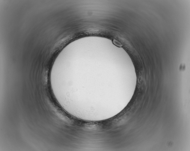 X0000091550454200709141519