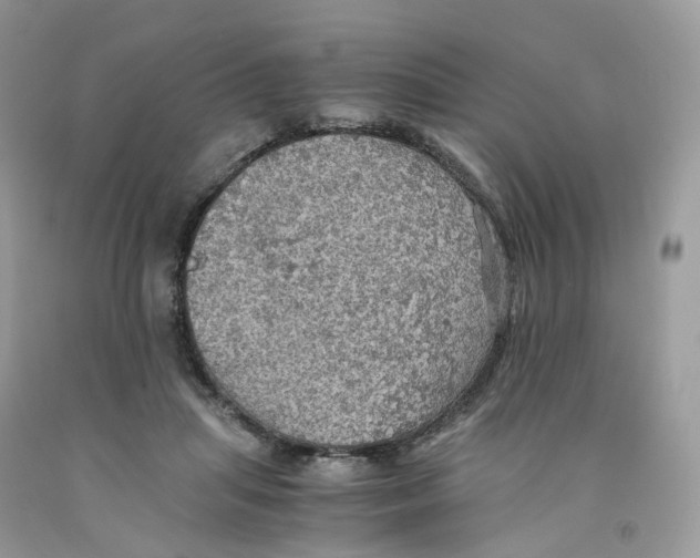 X0000091550455200709141519