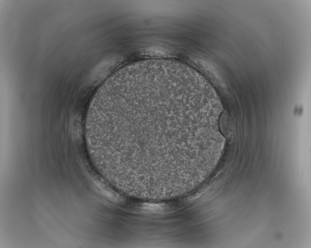 X0000091550457200709141519